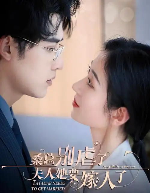 长夜将明 热播电视剧全集手机免费观看